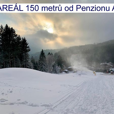 Penzion Alfa Železná Ruda Exterior foto