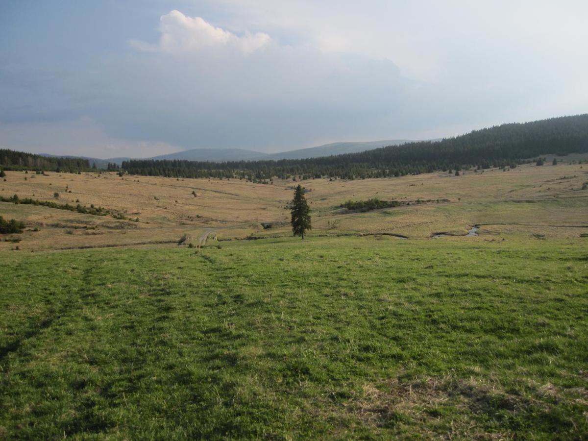Penzion Alfa Železná Ruda Exterior foto