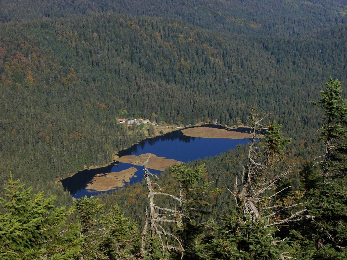 Penzion Alfa Železná Ruda Exterior foto