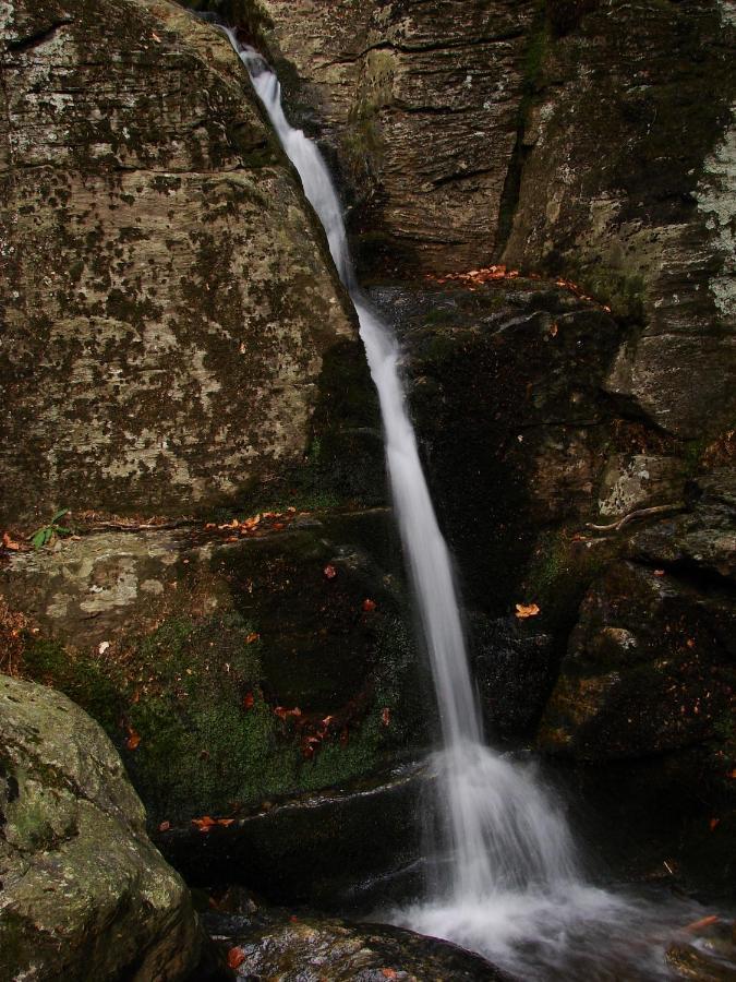 Penzion Alfa Železná Ruda Exterior foto